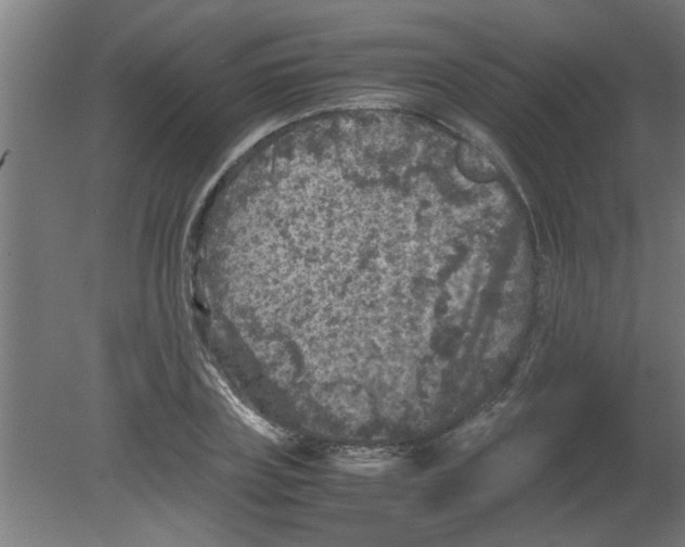 X0000080810835200701122238