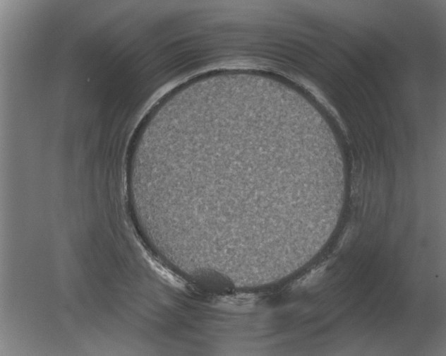 X0000080810837200701122238