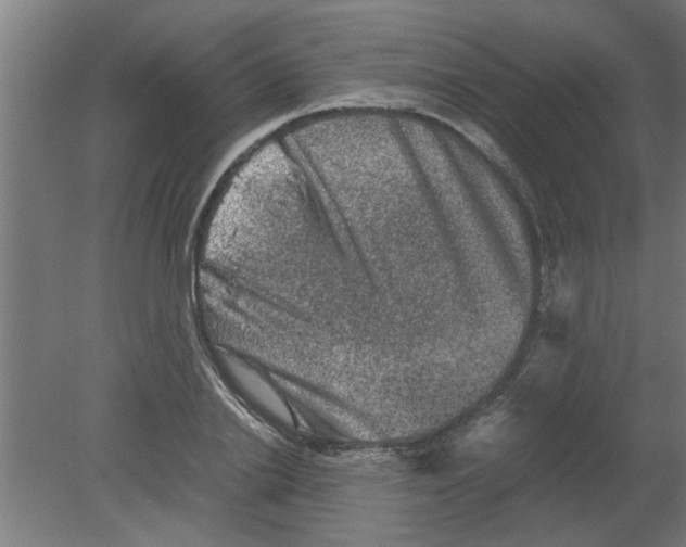 X0000080810838200701122239