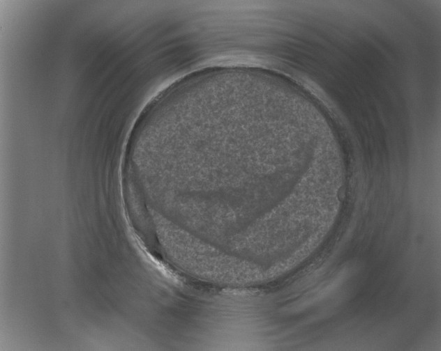 X0000080810840200701122239