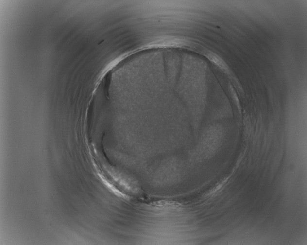 X0000080810842200701122239