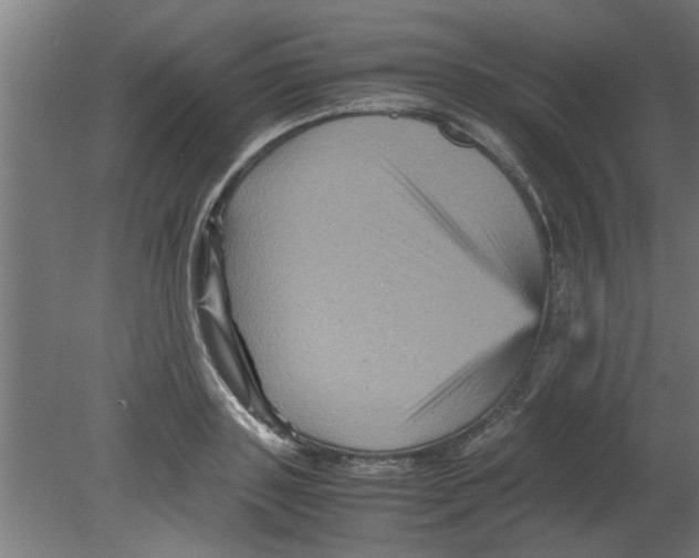 X0000080810843200701122239