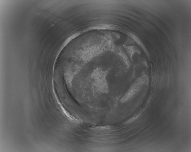 X0000080810845200701122239