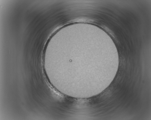 X0000080810848200701122239