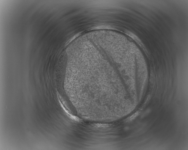 X0000080810849200701122239