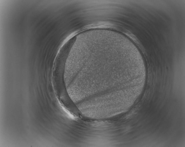 X0000080810850200701122239