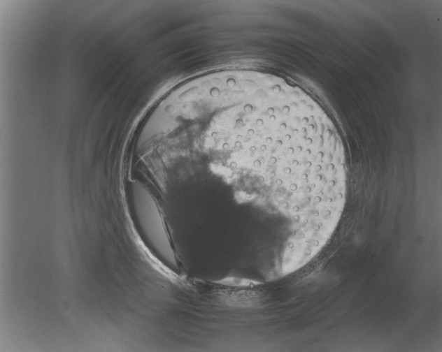 X0000080810851200701122239