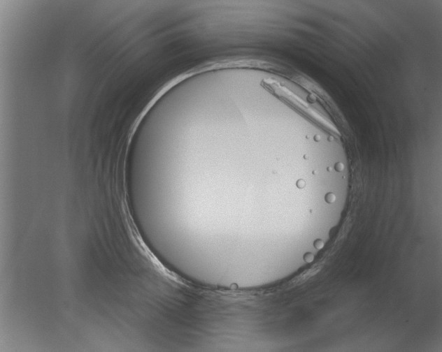 X0000080810852200701122239