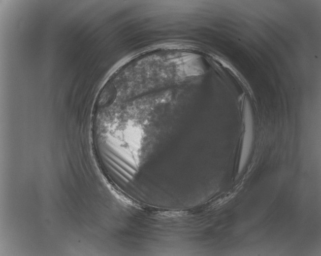 X0000080810853200701122239