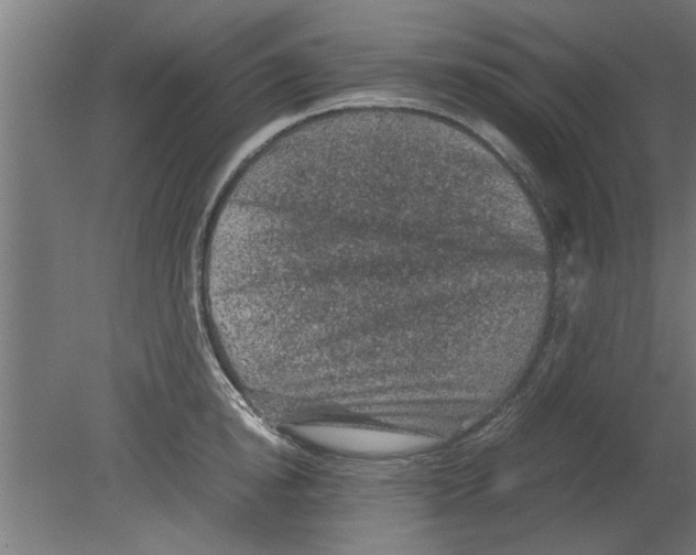 X0000080810854200701122239