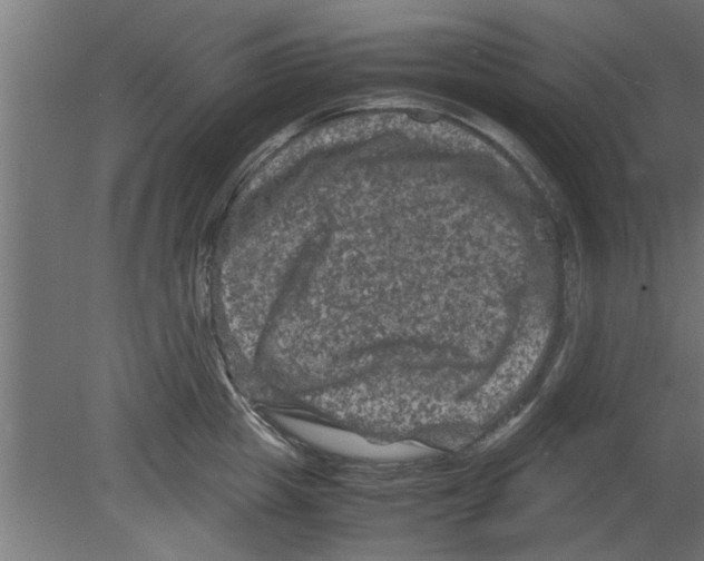 X0000080810857200701122239