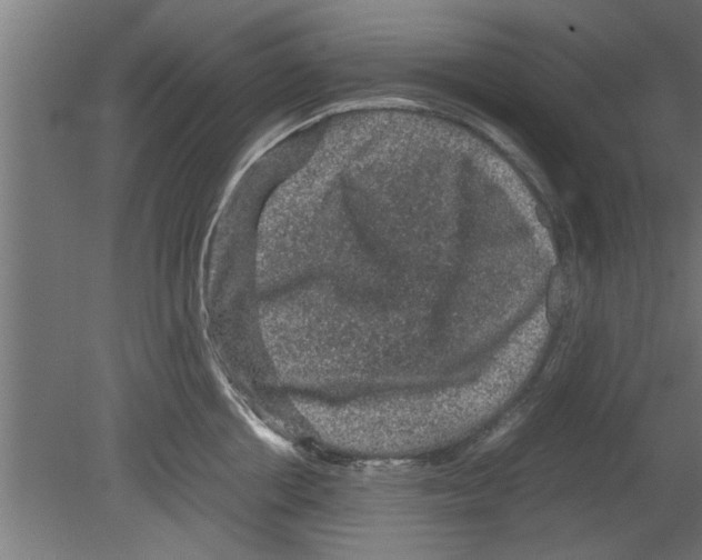 X0000080810858200701122239