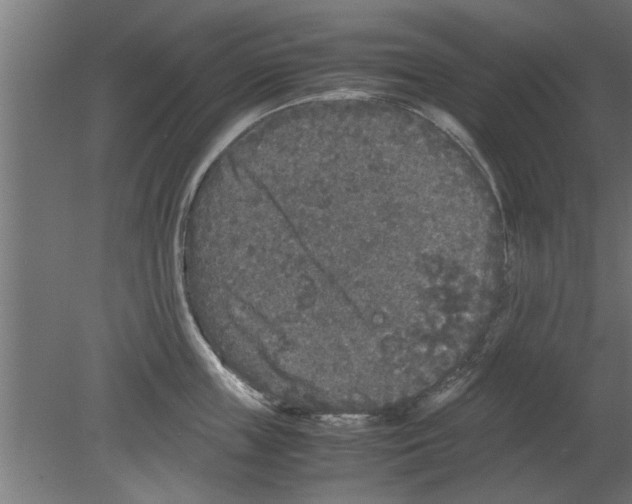 X0000080810859200701122239