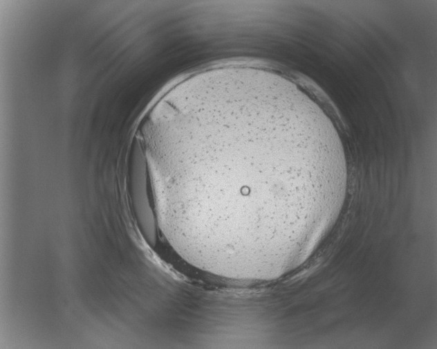 X0000080810860200701122239