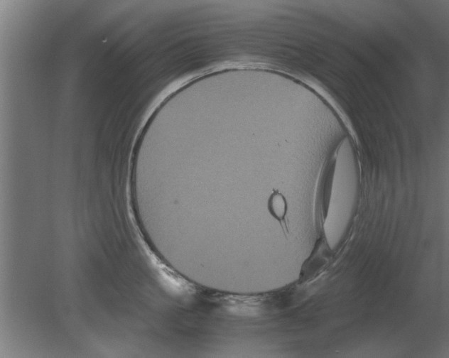 X0000080810861200701122239