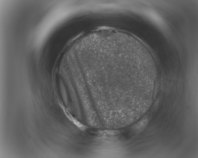 X0000080810862200701122239