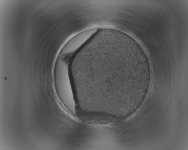 X0000080810864200701122239