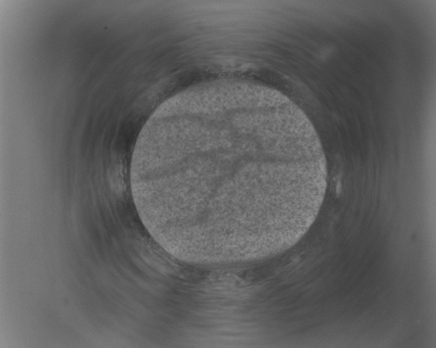 X0000080810866200701122238