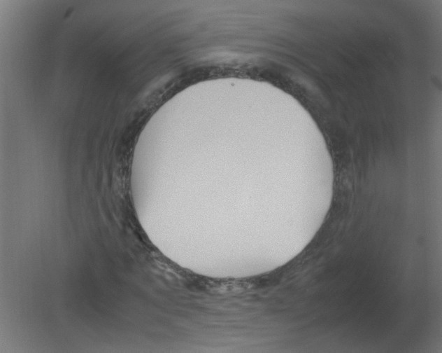 X0000080810869200701122238