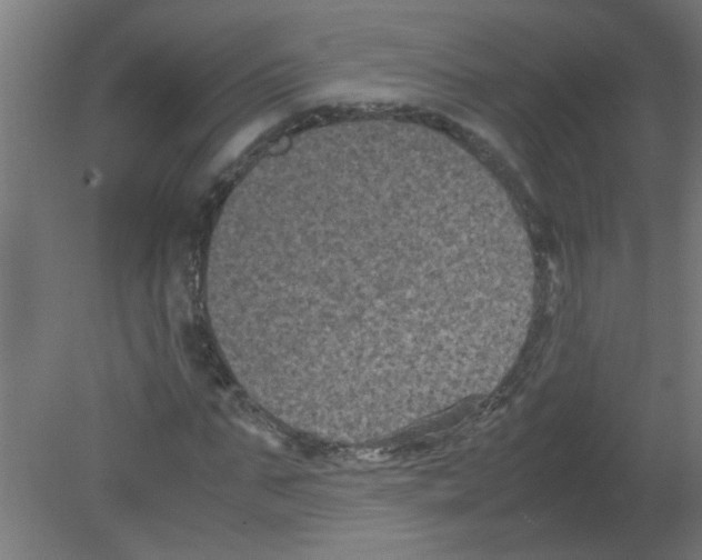 X0000080810871200701122238