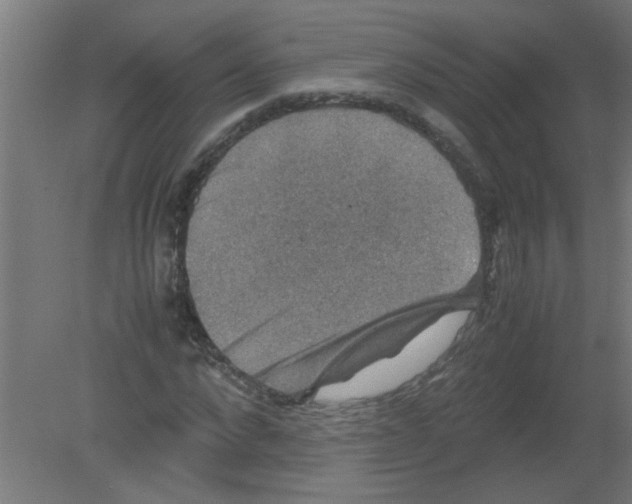 X0000080810872200701122238