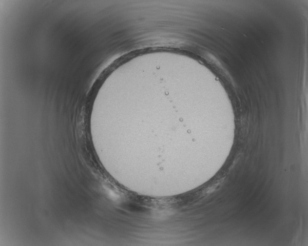 X0000080810875200701122238