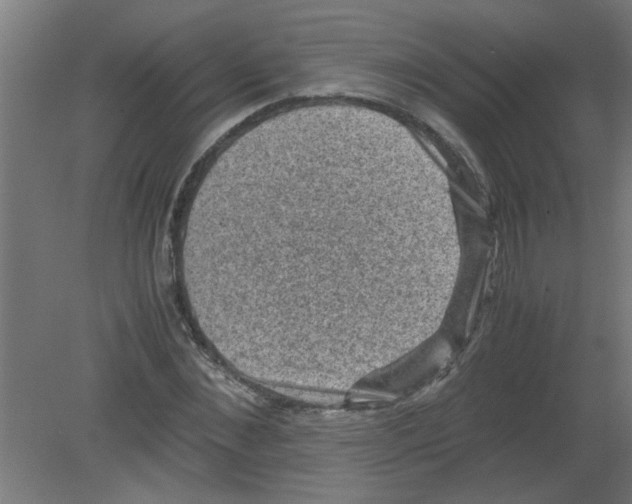 X0000080810876200701122238