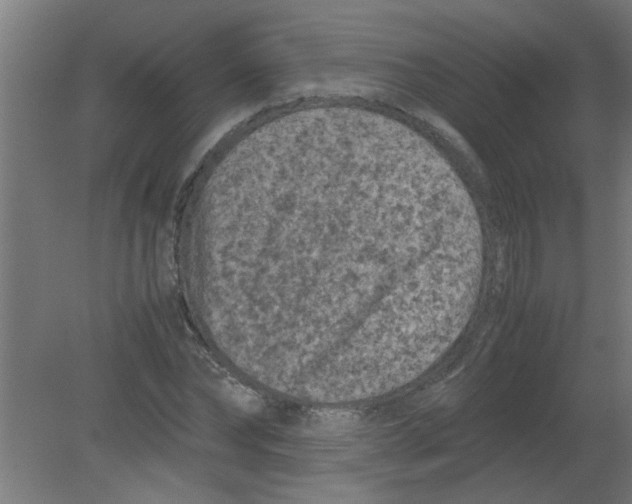 X0000080810878200701122238