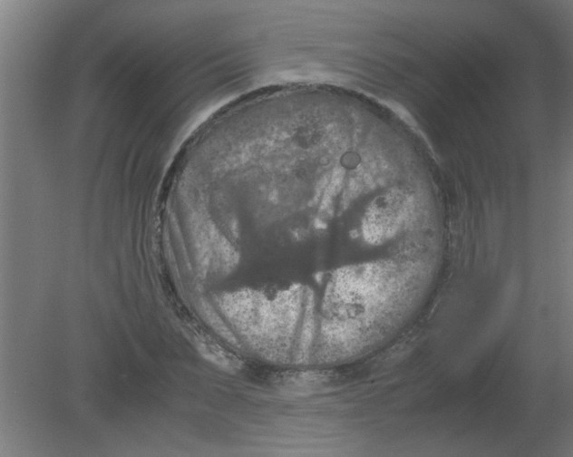 X0000080810879200701122238