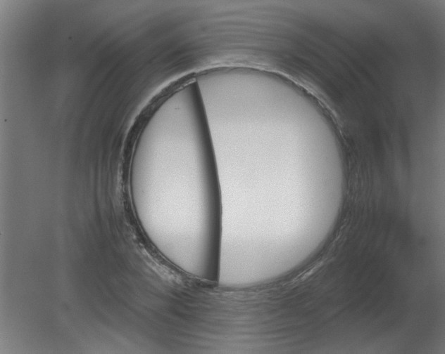 X0000080810880200701122238