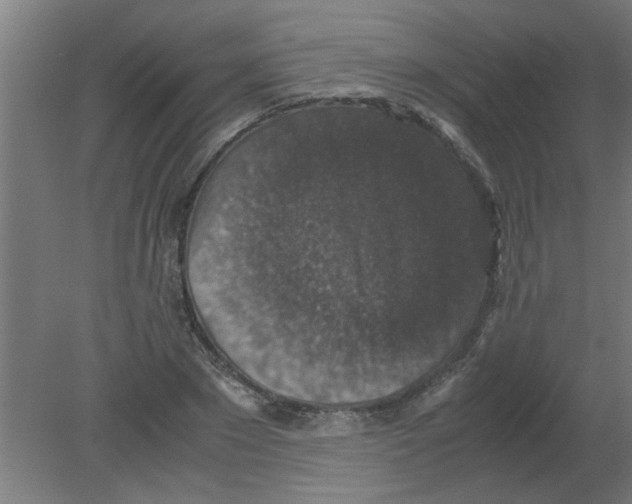 X0000080810881200701122238