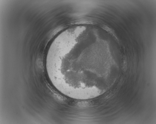 X0000080810882200701122238