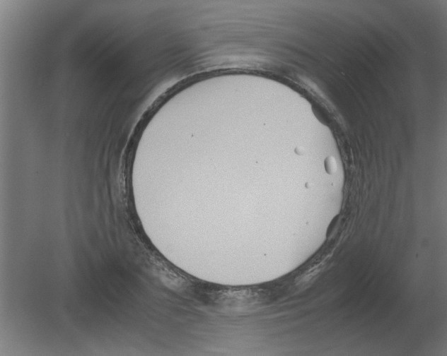 X0000080810883200701122238