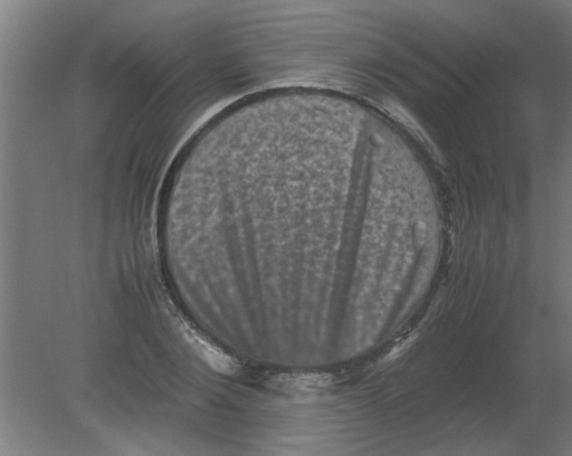 X0000080810884200701122238