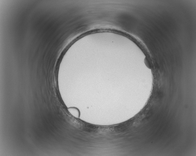 X0000080810887200701122238