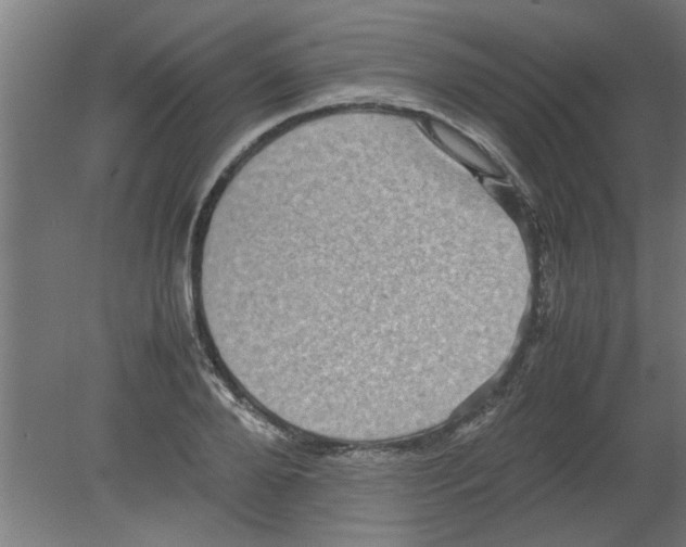 X0000080810888200701122238