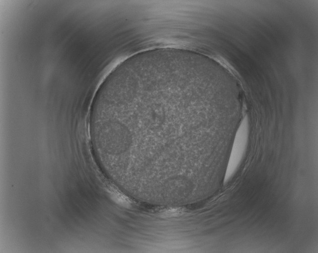 X0000080810891200701122238