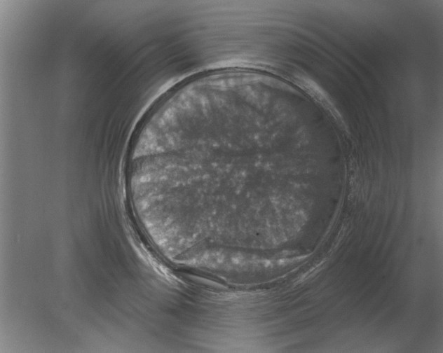 X0000080810892200701122238