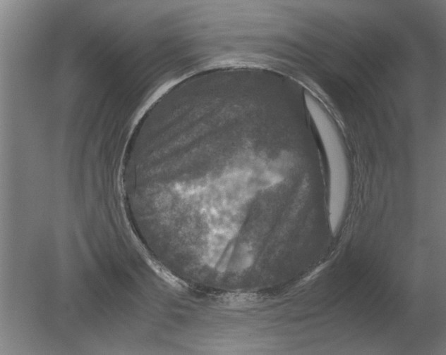 X0000080810893200701122238