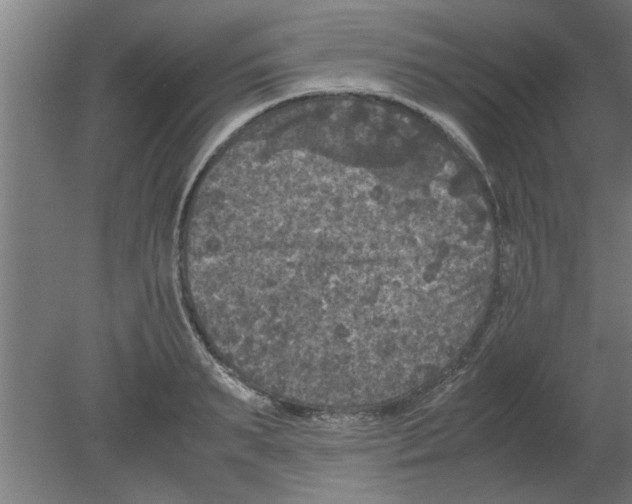 X0000080810895200701122238