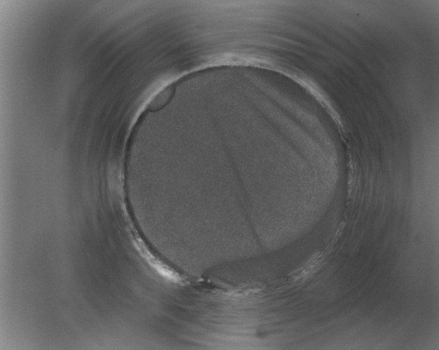 X0000080810896200701122238