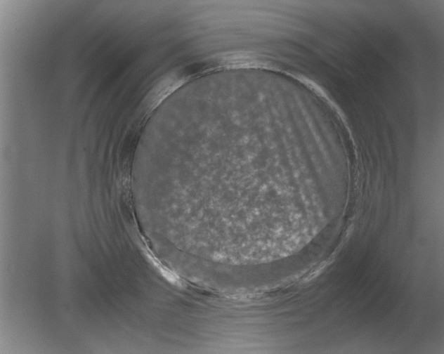 X0000080810897200701122238