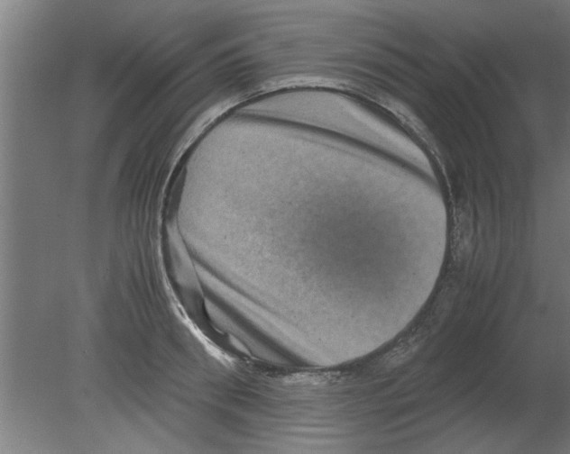 X0000080810898200701122238