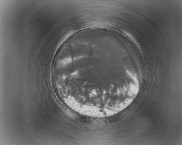 X0000080810899200701122238