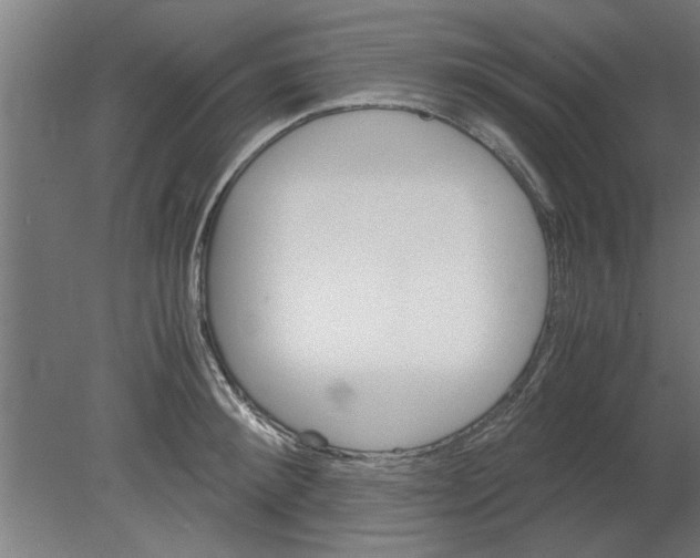 X0000080810900200701122238