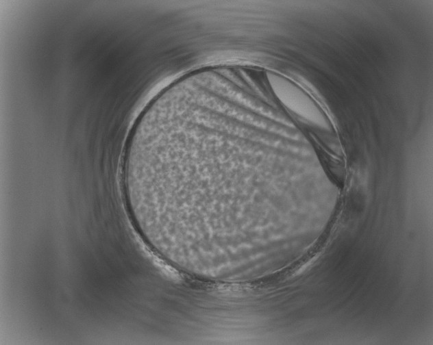 X0000080810901200701122238