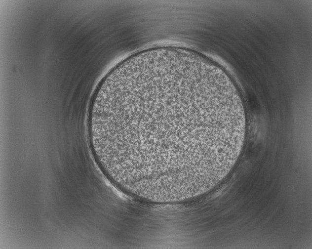 X0000080810902200701122237