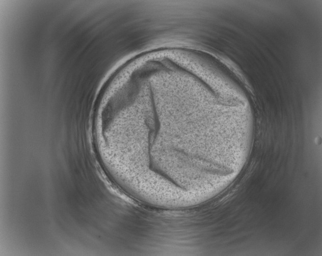 X0000080810904200701122237