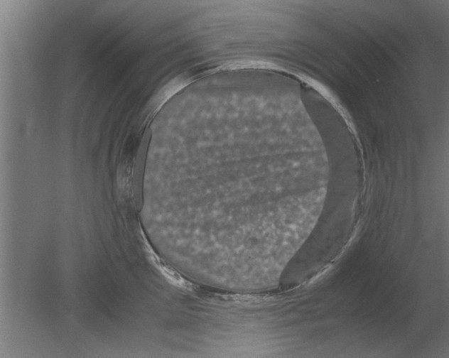 X0000080810905200701122237