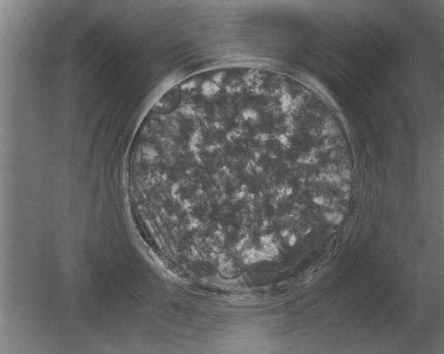 X0000080810907200701122237